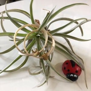 VINTAGE HOOP EARRINGS SHELL